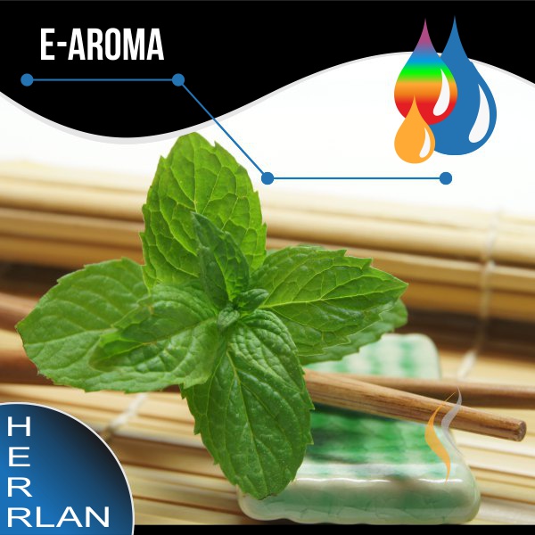 HERRLAN Spearmint Aroma - 10ml SW12212 Bild 1