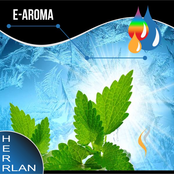 HERRLAN Menthol Aroma - 10ml SW11766 Bild 1