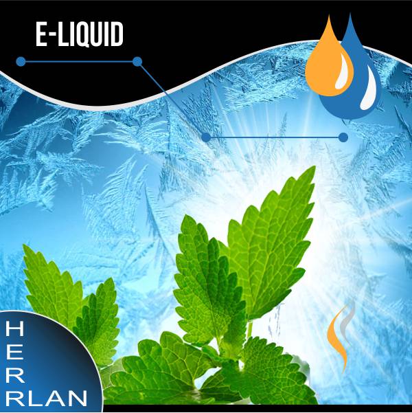 HERRLAN Menthol Liquid SW13848.1 Bild 1