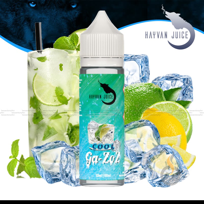 HAYVAN JUICE Ga-Zoz Cool Aroma - 10 ml SW16397 Bild 1