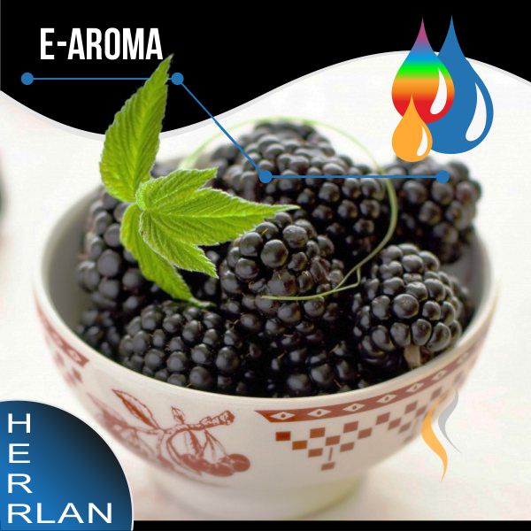 HERRLAN Brombeere Aroma - 10ml SW11661 Bild 1