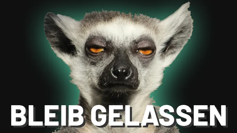 Gelassenheit bei E-Zigarette Kritikern Dampfen: gehe gelassen mit Kritikern zur E-Zigarette um