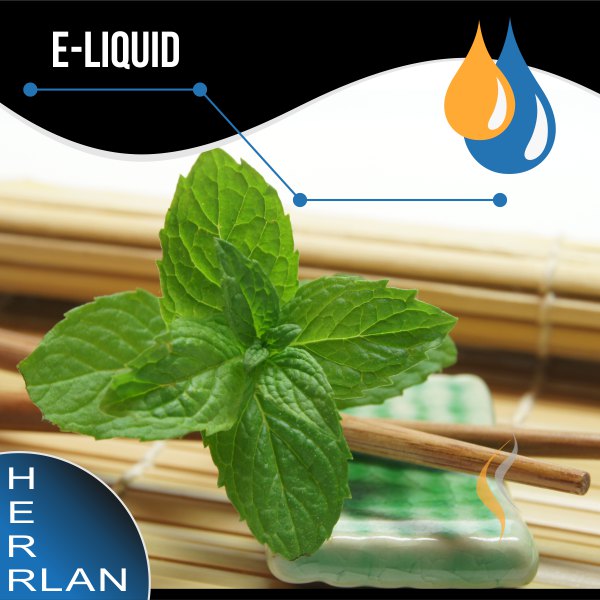HERRLAN Spearmint Liquid SW13846.1 Bild 1