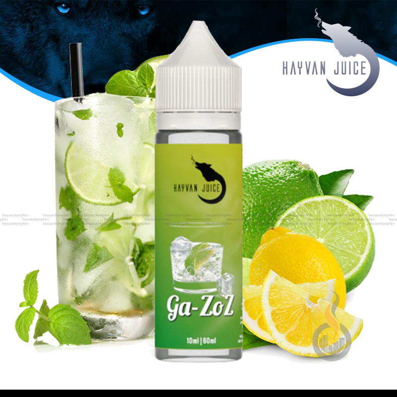 HAYVAN JUICE Ga-Zoz Aroma - 10 ml SW16394 Bild 1