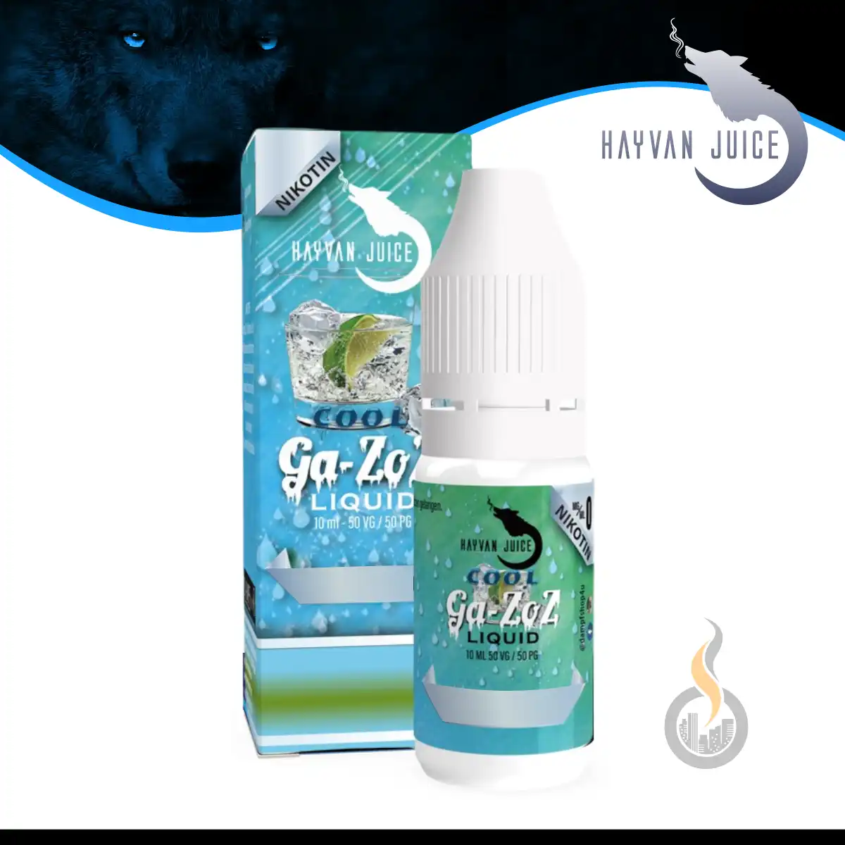 HAYVAN JUICE Cool Gazoz Liquid 10 ml SW17605 Bild 1